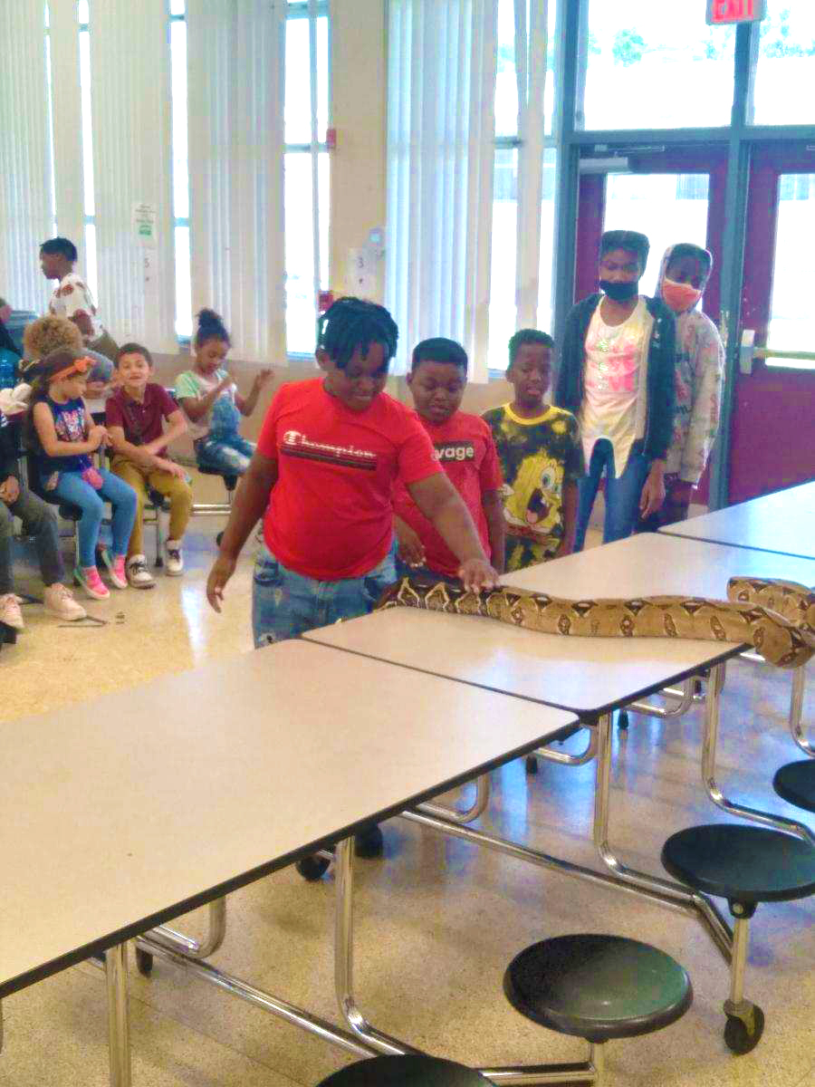 Tampa Bay After School All Stars